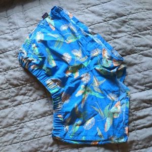 Patagonia Parrot Barely Baggies Shorts